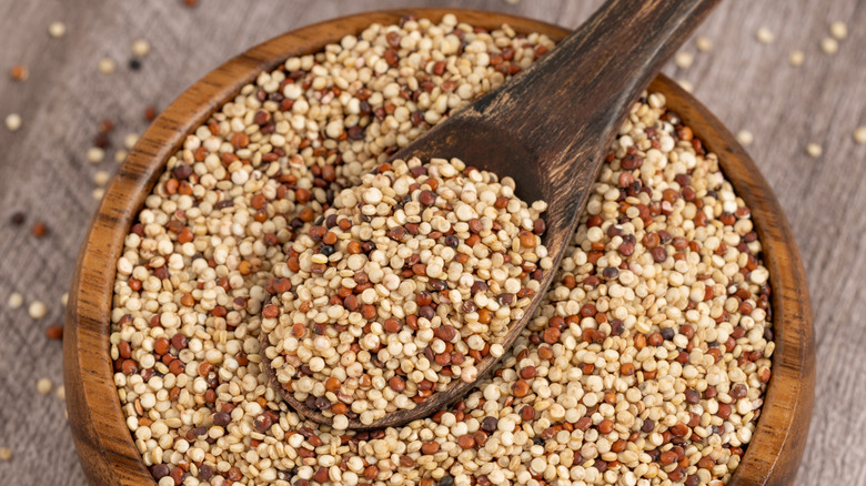 A bowl of quinoa with a spoon full of quinoa resting on it.