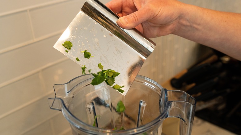 Bench scraper with chopped cilantro 