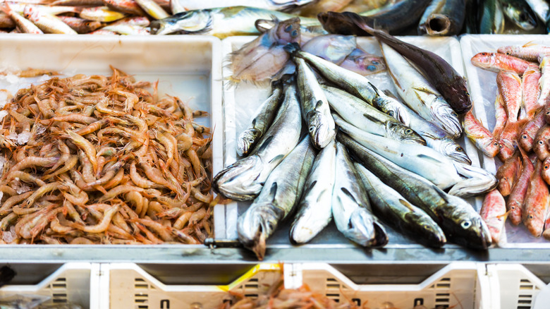 Fresh seafood in bins