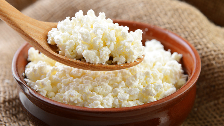 Cottage cheese on wooden spoon