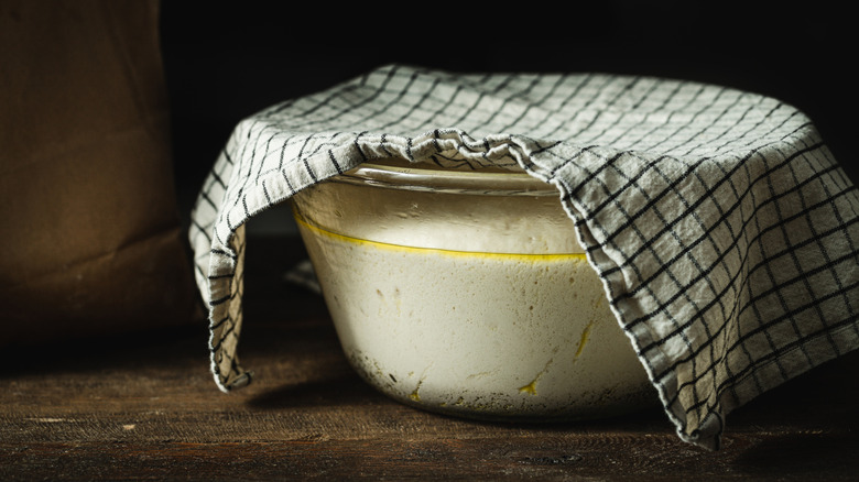 Bowl of dough with a dishcloth resting on top