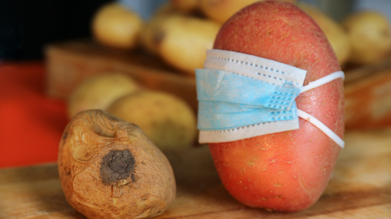 Rotten tomato and tomato wearing mask