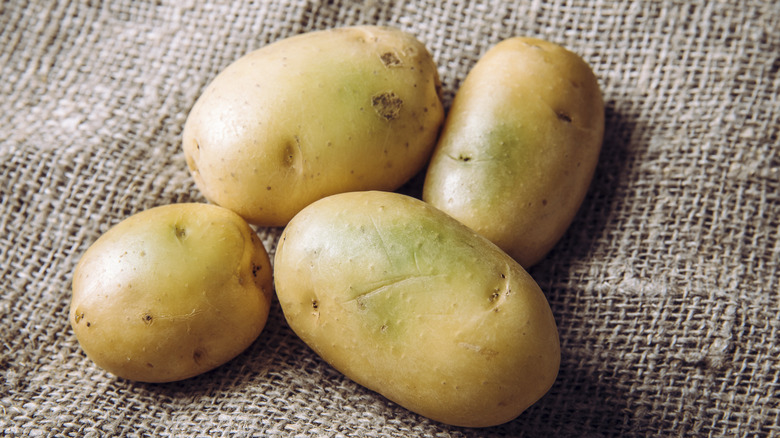 Green potatoes on burlap