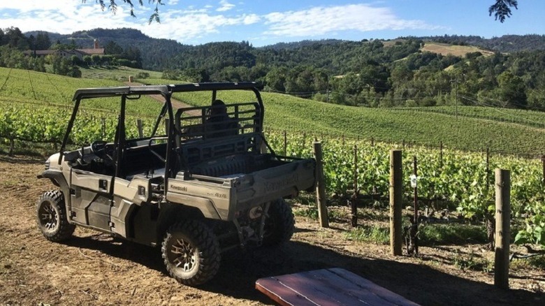 ATV next to grape vines