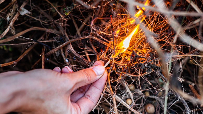 Person lighting kindling with match