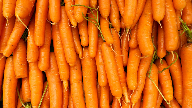 Fresh whole carrots