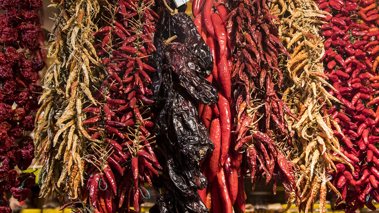 a collection of eight hot pepper varieties