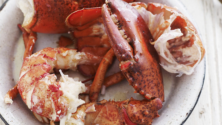 Cooked lobster tail and shells