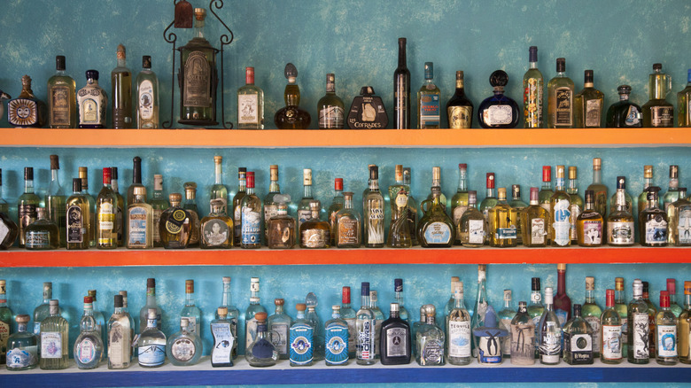 A wall of different tequila varieties