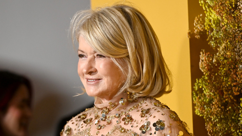 Martha Stewart on red carpet