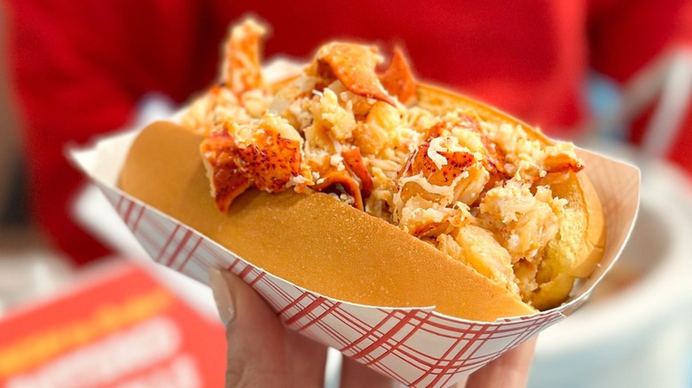 hand holding a lobster roll