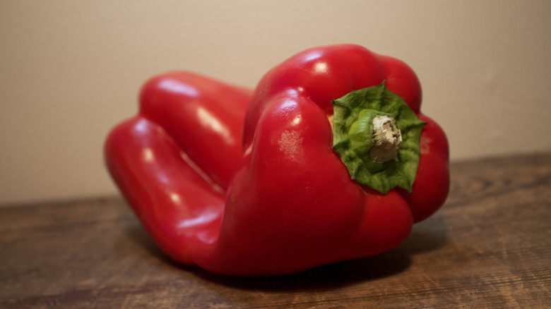 An oddly-shaped red pepper