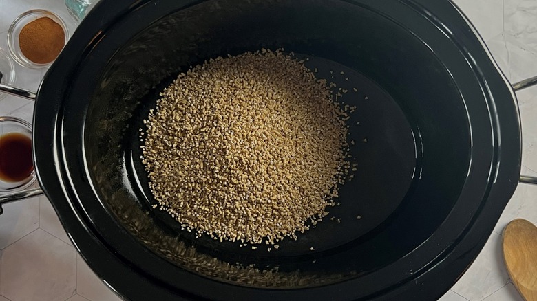 steel cut oats in slow cooker
