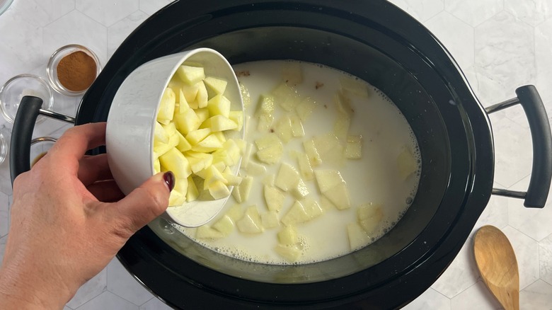 adding chopped apples to slow cooker oats