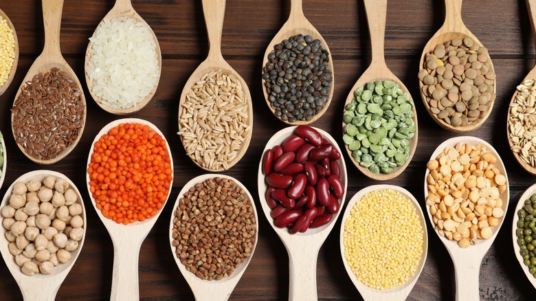 Various spoons with legumes and grains on them