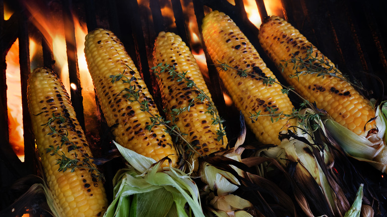 Ears of corn grilled over flames