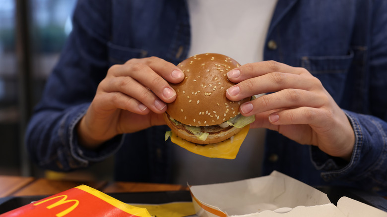 A person holds a McDonald's burger