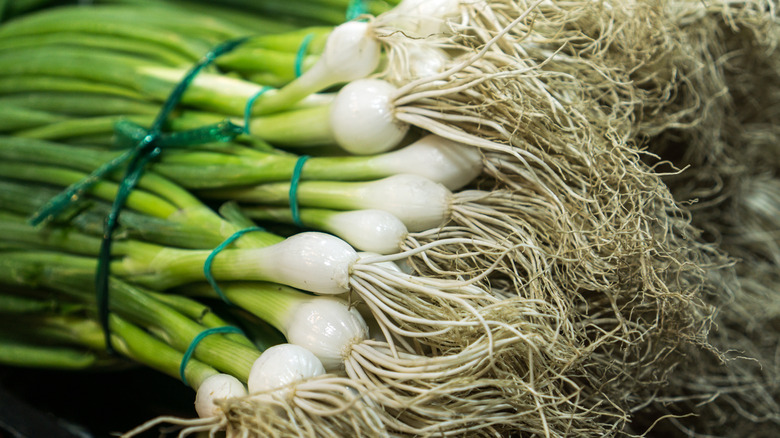 A bouquet of green onions