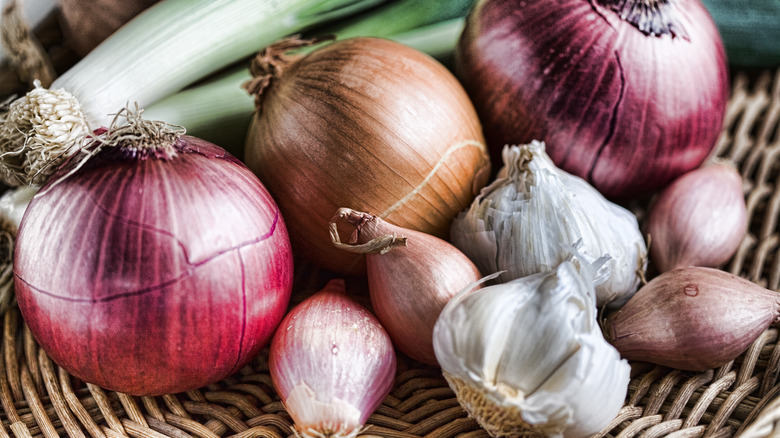 assortment of alliums displayed