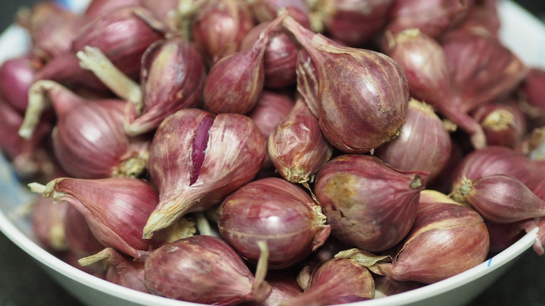 shallots displayed in a bowl