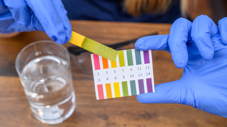 Gloved hands showing the pH level of a glass of water