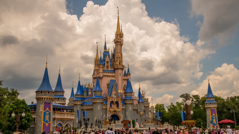 Disney World Magic Kingdom castle