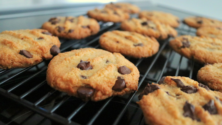 Chocolate chip cookies on rack
