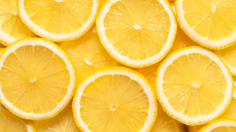 An array of lemon slices