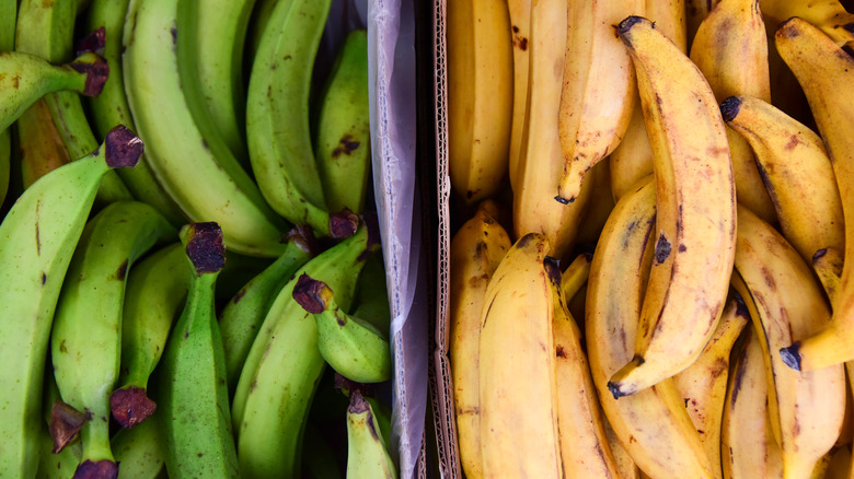 Boxes of ripe and unripe plantains