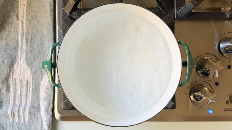 Pot of water boiling on stovetop