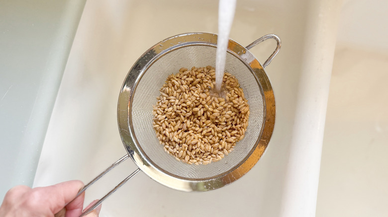 Rinsing pearl barley in a strainer under cold water in sink