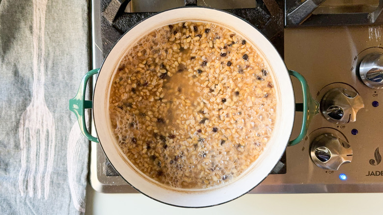 Pearl barley and currents simmering in pot on stovetop