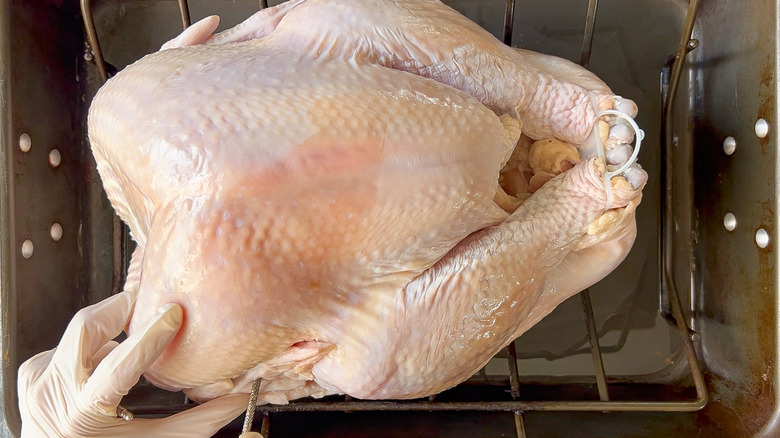 Pinning down wings of whole turkey in roasting pan