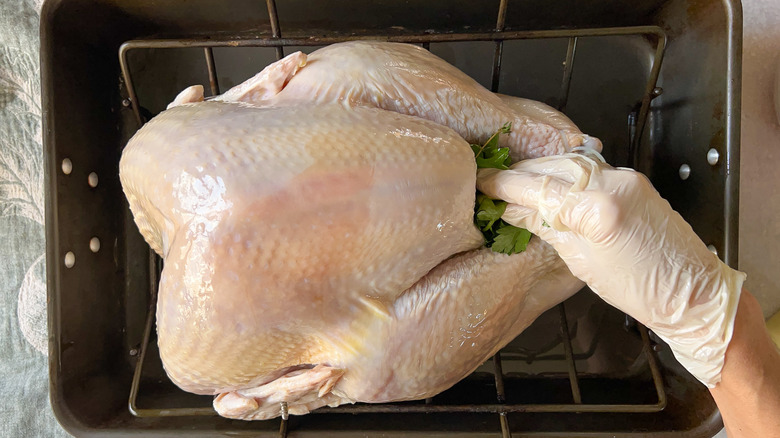 Filling turkey cavity with aromatic vegetables and herbs