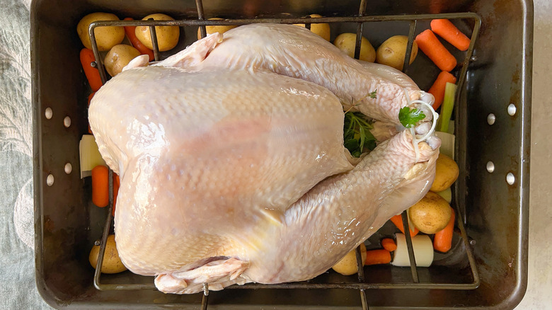 Whole turkey and vegetables in roasting pan