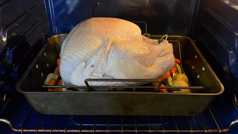 Whole turkey and vegetables in roasting pan in oven