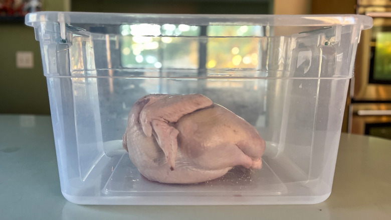 Whole turkey in plastic container