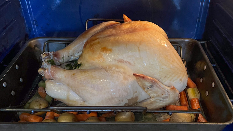 Whole turkey in roasting pan in oven