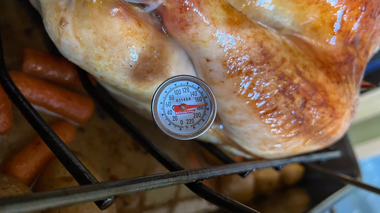 Instant read thermometer at 170 F in turkey thigh