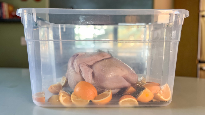 Whole turkey, citrus and herbs in plastic container