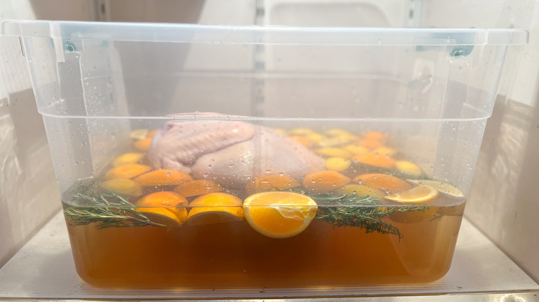 Whole turkey in brine in plastic container in refrigerator