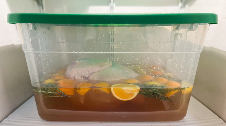 Whole turkey in brine in covered plastic container in refrigerator