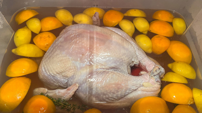 Turkey in brine in plastic container with citrus