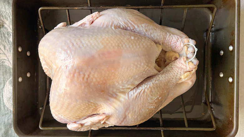 Whole turkey in roasting pan