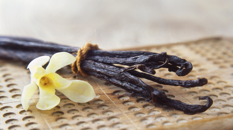 bundle of dried vanilla beans