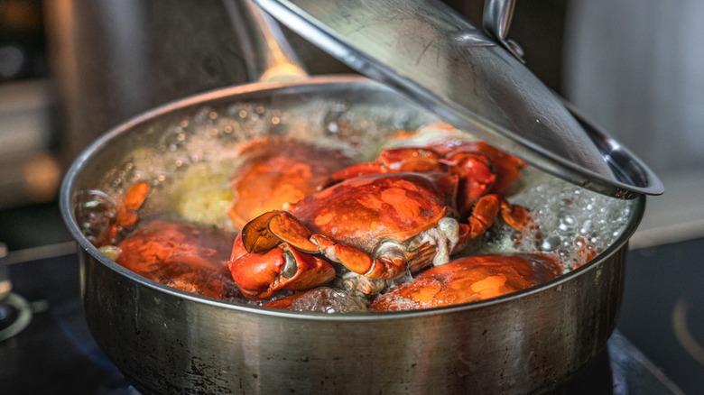 Crabs in a boiling pot