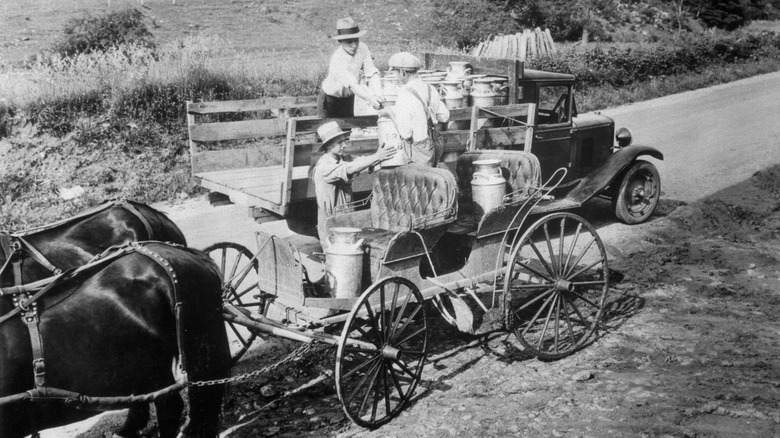 Milk carriage led by horses