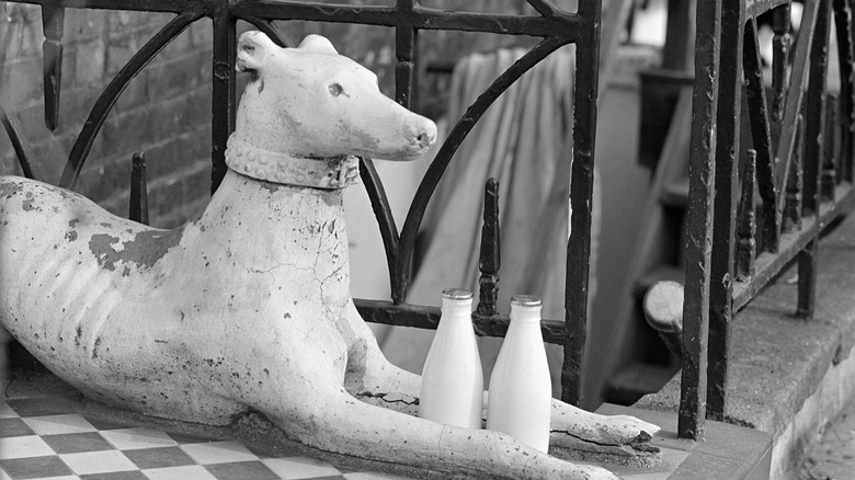 Greyhound statue holding milk bottles