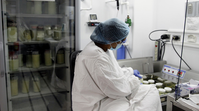 Woman pasteurizing milk