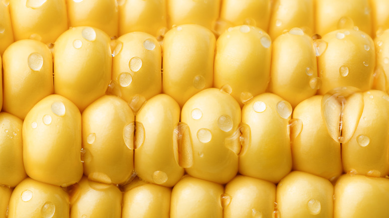 Corn kernels close-up with water